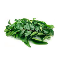 Curry Leaves